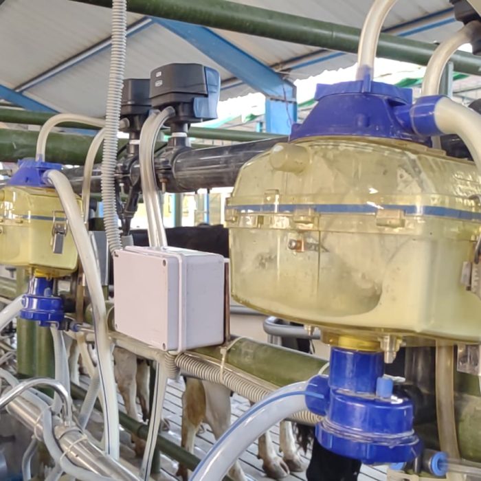 WhatsApp Image 2023-05-30 at 02.43.41